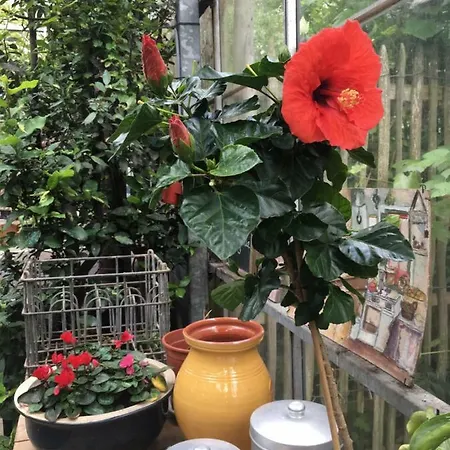 't Keetje Groesbeek