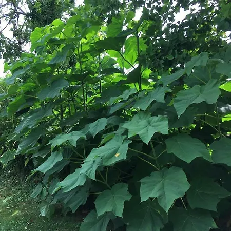 Apartmán 't Keetje Groesbeek