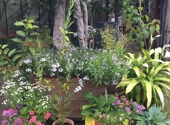 't Keetje フロースベーク