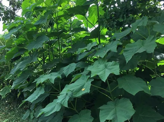 アパート 't Keetje フロースベーク